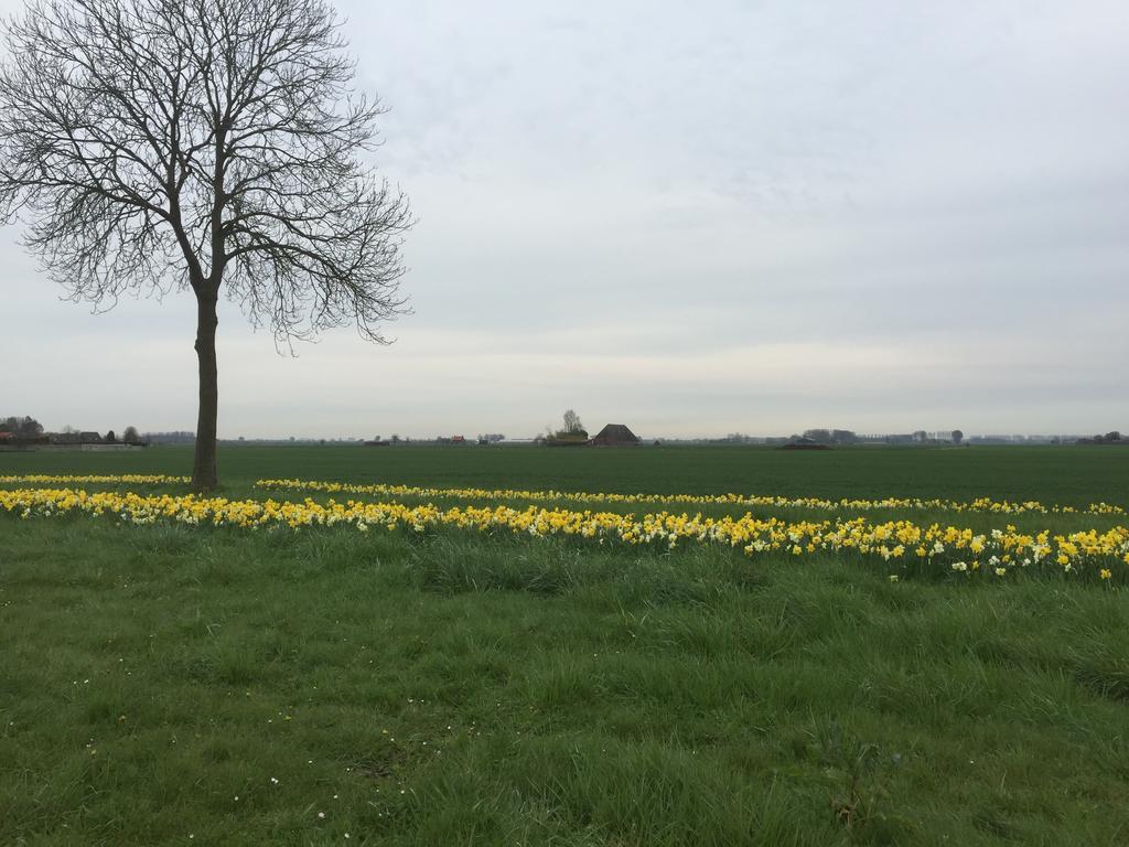 De Stadspoort appartementen Aardenburg Buitenkant foto